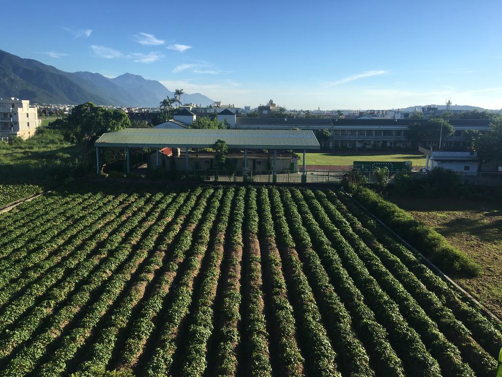 Bo Jue Farm Stay 지안 외부 사진